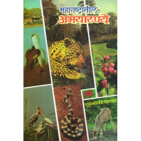 Maharashtratil Abhyaranye (1)